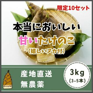期間限定！甘い！無農薬 天然 竹の子 筍 たけのこ タケノコ 3kg(野菜)