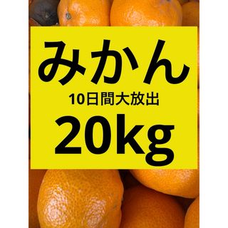 10日間サービス品　20kg   大きめ九州甘いみかん　(フルーツ)