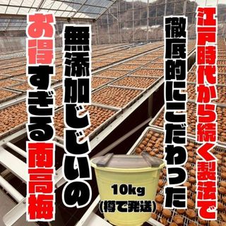 人気爆発！紀州南高梅 樽 10kg つぶれ梅 無添加 和歌山 紀州 白梅(漬物)