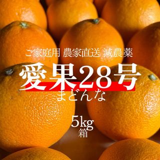 エヒメミカン(愛媛みかん)の【特別栽培の完熟愛果28号（まどんな）5kg】（特別栽培/ 秀優良可/ご家庭用)(フルーツ)
