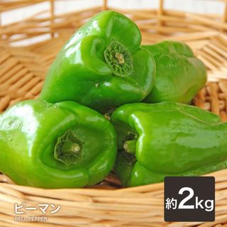 送料無料 ピーマン 2kｇ(野菜)