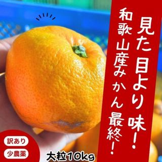 【安心安全】和歌山 減農薬みかん 箱込み 10kg 甘い！少農薬 大粒 大玉 (フルーツ)