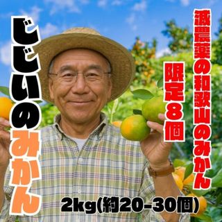 【ワックス不使用】和歌山 減農薬みかん 身体に優しい味 農薬節約栽培 10kg(フルーツ)