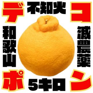 人気！デコポン(不知火)訳あり 減農薬 甘い  有田 和歌山 5kg(フルーツ)