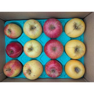 岩手県産　りんご　詰め合わせ　家庭用　約３キロ　12(フルーツ)