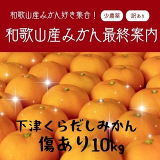【安心安全】和歌山 減農薬みかん 箱込み 10kg 甘い！少農薬 大粒 大玉 (フルーツ)