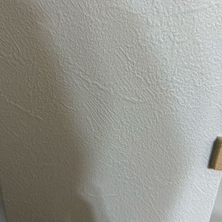 トップス(Tシャツ(半袖/袖なし))