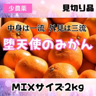 【安心安全】和歌山 減農薬みかん 箱込み 2kg 甘い！農薬節約栽培(フルーツ)